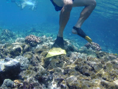 Snorkeler trampling